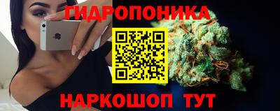 jwh Краснодар