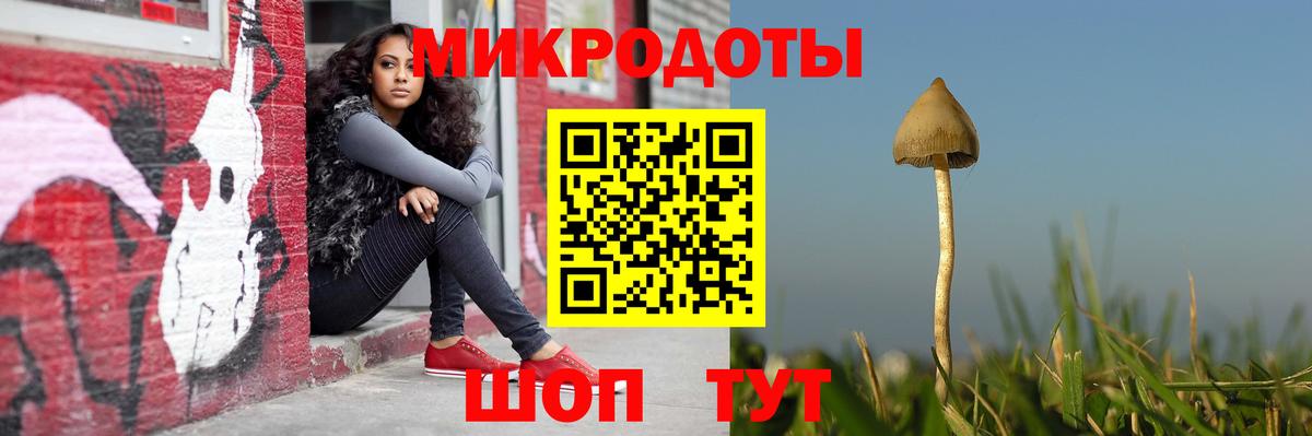 Псилоцибиновые грибы MAGIC MUSHROOMS Кольчугино